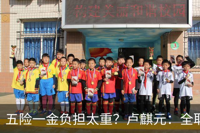 五险一金负担太重？卢麒元：全取消，征房产直接税，经济才会正常