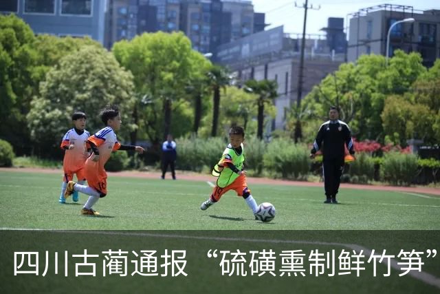 四川古蔺通报“硫磺熏制鲜竹笋”：已对涉案人员进行立案调查，对全县竹笋收购、加工、销售等环节开展全面排查